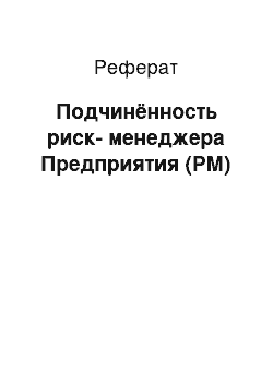 Реферат: Подчинённость риск-менеджера Предприятия (РМ)