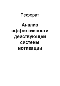 Реферат: Анализ эффективности действующей системы мотивации