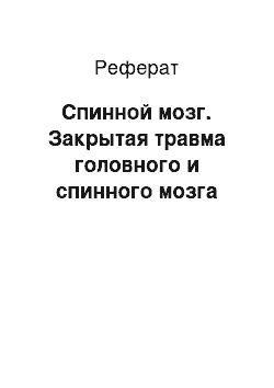 Реферат: Спинной мозг. Закрытая травма головного и спинного мозга