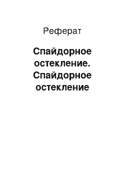 Реферат: Спайдорное остекление. Спайдорное остекление