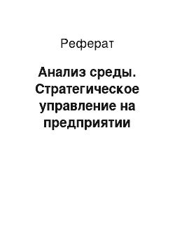 Реферат: Анализ среды. Стратегическое управление на предприятии