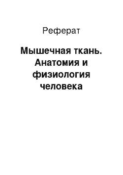 Реферат: Мышечная ткань. Анатомия и физиология человека