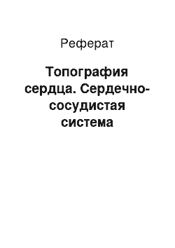 Реферат: Топография сердца. Сердечно-сосудистая система