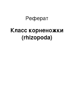 Реферат: Класс корненожки (rhizopoda)