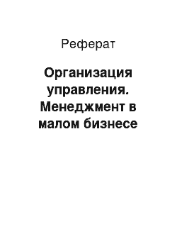 Реферат: Организация управления. Менеджмент в малом бизнесе