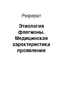 Реферат: Этиология флегмоны. Медицинская характеристика проявления флегмоны у лошадей