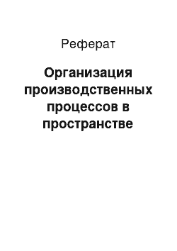 Реферат: Организация производственных процессов в пространстве