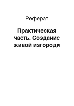 Реферат: Практическая часть. Создание живой изгороди