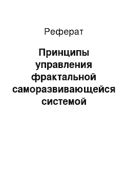 Реферат: Принципы управления фрактальной саморазвивающейся системой