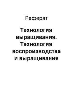 Реферат: Технология выращивания. Технология воспроизводства и выращивания осетра