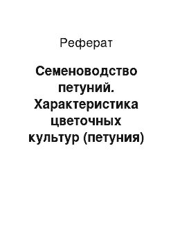 Реферат: Семеноводство петуний. Характеристика цветочных культур (петуния)