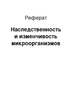 Реферат: Наследственность и изменчивость микроорганизмов