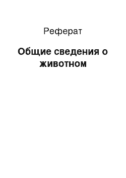 Реферат: Общие сведения о животном