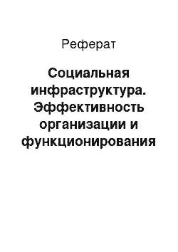 Реферат: Социальная инфраструктура. Эффективность организации и функционирования субъекта государственного управления