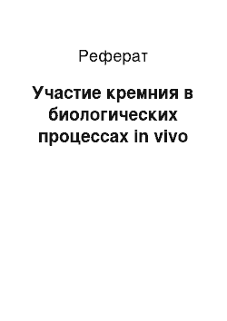 Реферат: Участие кремния в биологических процессах in vivo