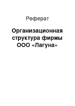 Реферат: Организационная структура фирмы ООО «Лагуна»