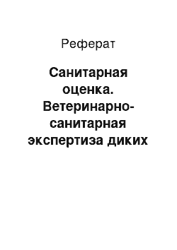 Реферат: Санитарная оценка. Ветеринарно-санитарная экспертиза диких промысловых животных и пернатой дичи