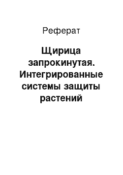 Реферат: Щирица запрокинутая. Интегрированные системы защиты растений