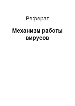 Реферат: Механизм работы вирусов