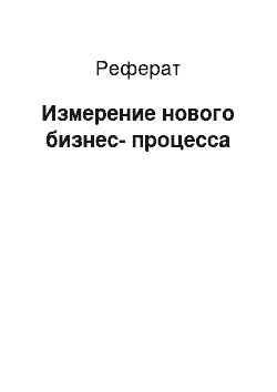 Реферат: Измерение нового бизнес-процесса