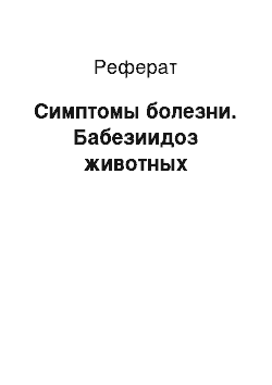 Реферат: Симптомы болезни. Бабезиидоз животных