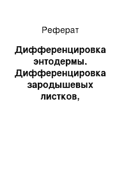 Реферат: Дифференцировка энтодермы. Дифференцировка зародышевых листков, критические периоды эмбриогенеза