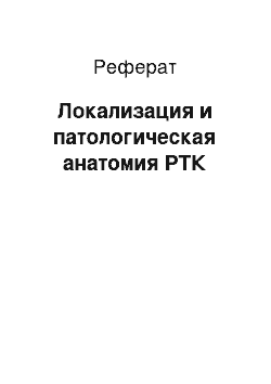 Реферат: Локализация и патологическая анатомия РТК