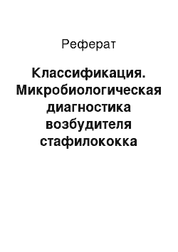 Реферат: Классификация. Микробиологическая диагностика возбудителя стафилококка