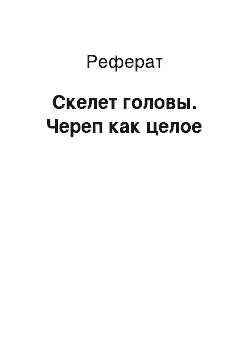 Реферат: Скелет головы. Череп как целое