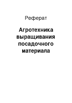 Реферат: Агротехника выращивания посадочного материала