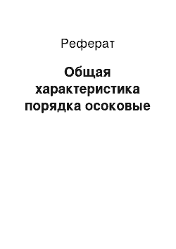 Реферат: Общая характеристика порядка осоковые