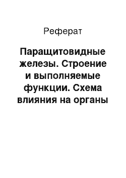 Реферат: Паращитовидные железы. Строение и выполняемые функции. Схема влияния на органы и системы