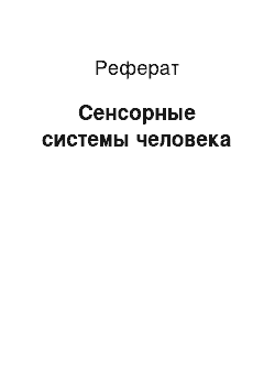 Реферат: Сенсорные системы человека