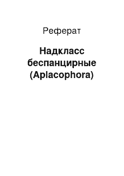 Реферат: Надкласс беспанцирные (Aplacophora)