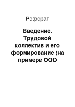 Реферат: Введение. Трудовой коллектив и его формирование (на примере ООО "Розница К-1)