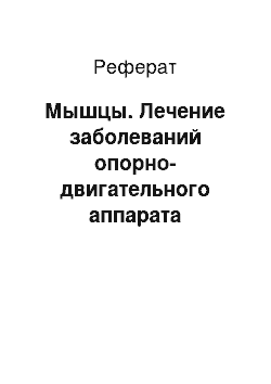 Реферат: Мышцы. Лечение заболеваний опорно-двигательного аппарата