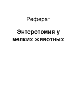 Реферат: Энтеротомия у мелких животных