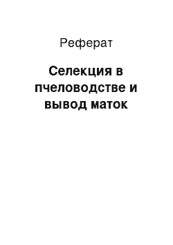 Реферат: Селекция в пчеловодстве и вывод маток