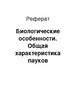 Реферат: Биологические особенности. Общая характеристика пауков