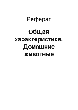 Реферат: Общая характеристика. Домашние животные