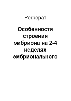 Реферат: Особенности строения эмбриона на 2-4 неделях эмбрионального развития. Понятие о критических периодах. Влияние экзо-и эндогенных факторов на развитие