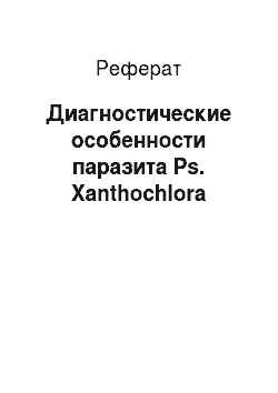 Реферат: Диагностические особенности паразита Ps. Xanthochlora