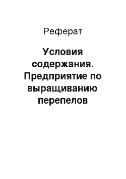 Реферат: Условия содержания. Предприятие по выращиванию перепелов