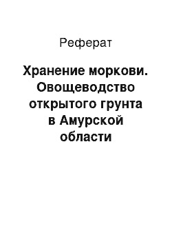 Реферат: Хранение моркови. Овощеводство открытого грунта в Амурской области