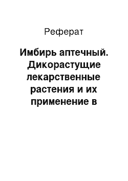 Реферат: Имбирь аптечный. Дикорастущие лекарственные растения и их применение в медицине