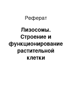 Реферат: Лизосомы. Строение и функционирование растительной клетки