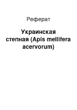 Реферат: Украинская степная (Apis mellifera acervorum)