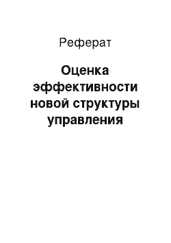 Реферат: Оценка эффективности новой структуры управления