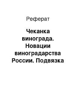 Реферат: Чеканка винограда. Новации виноградарства России. Подвязка и зеленые операции