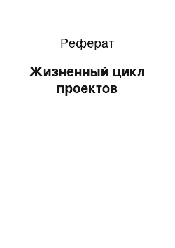 Реферат: Жизненный цикл проектов